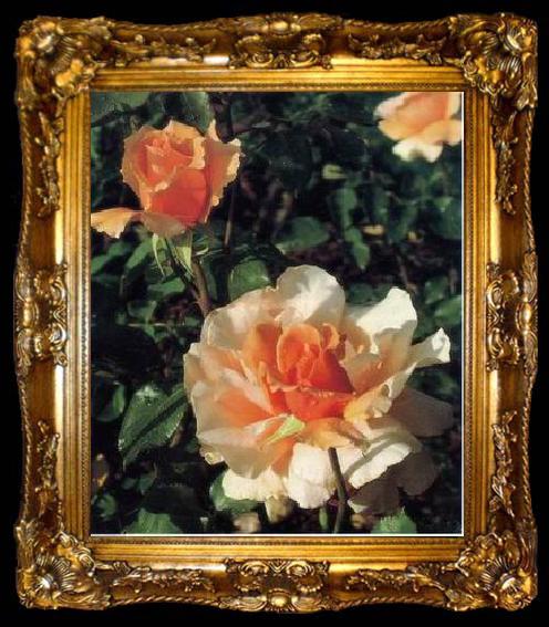 framed  unknow artist Still life floral, all kinds of reality flowers oil painting  377, ta009-2